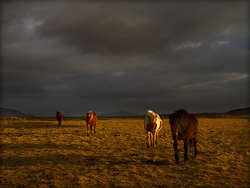 islandia_34