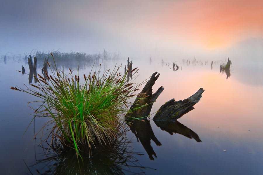 fotografia_przyrody_51