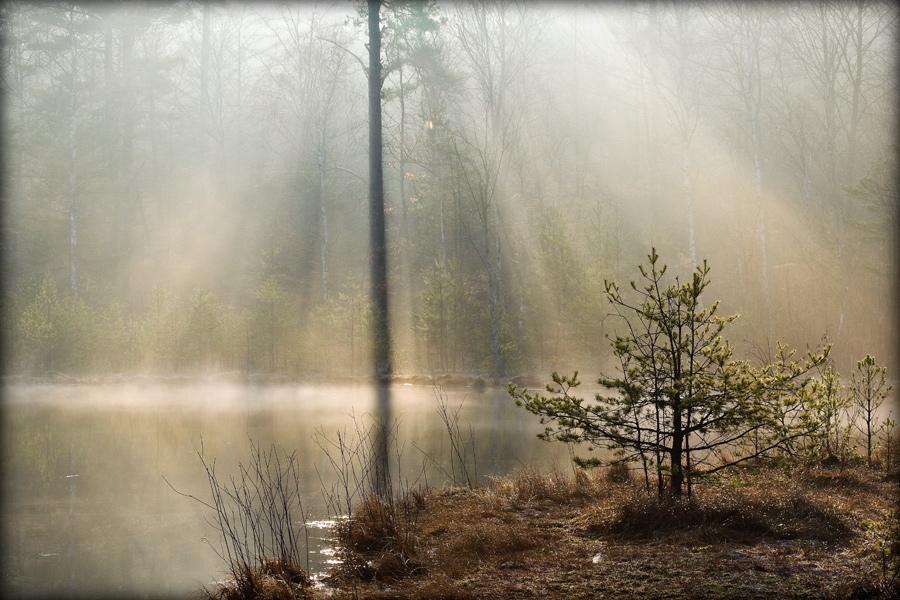 fotografia_przyrodnicza_3