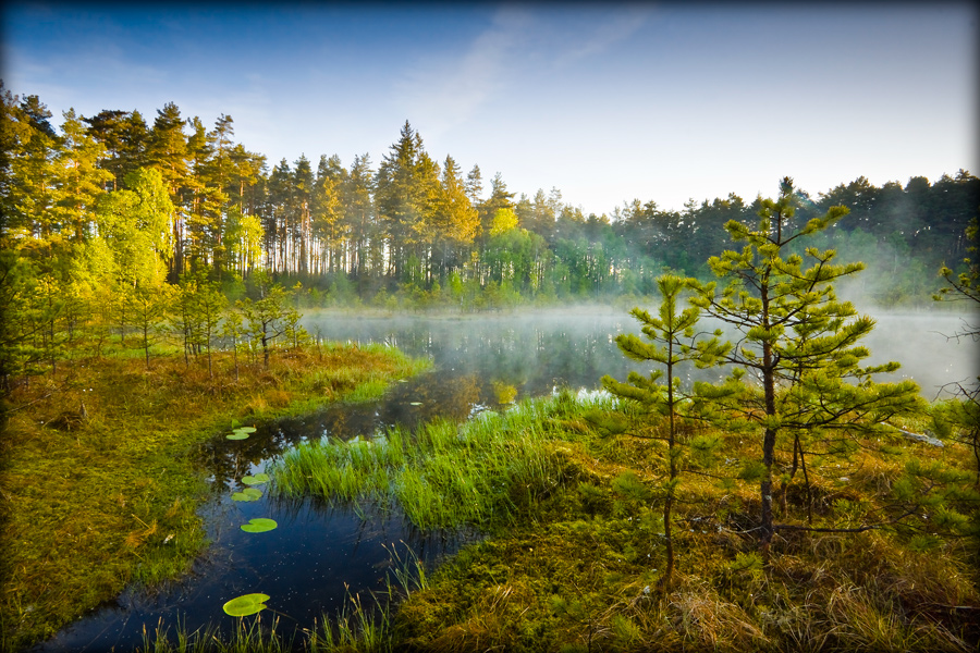 fotografia_przyrodnicza_4