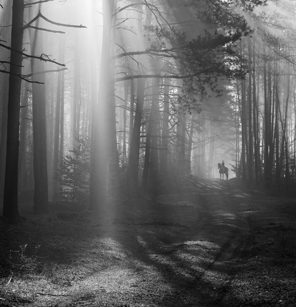 fotografia czarno biała_8