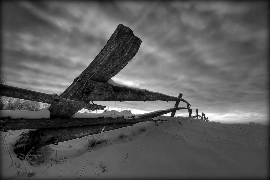 fotografia czarno biała_5