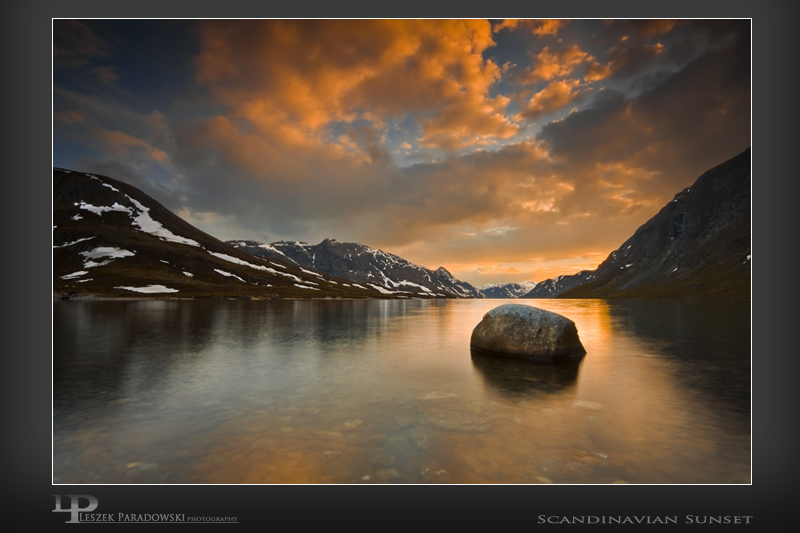 paradowski_nagrodzone_48