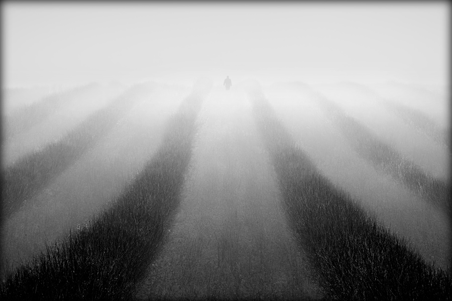 fotografia_czarno_biala_42