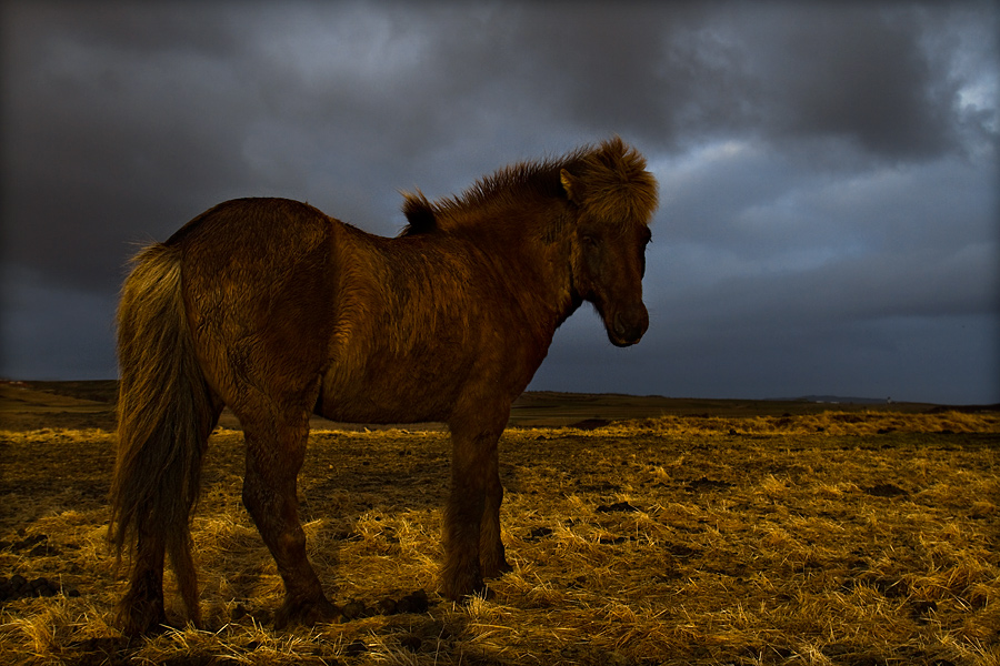 islandia_40