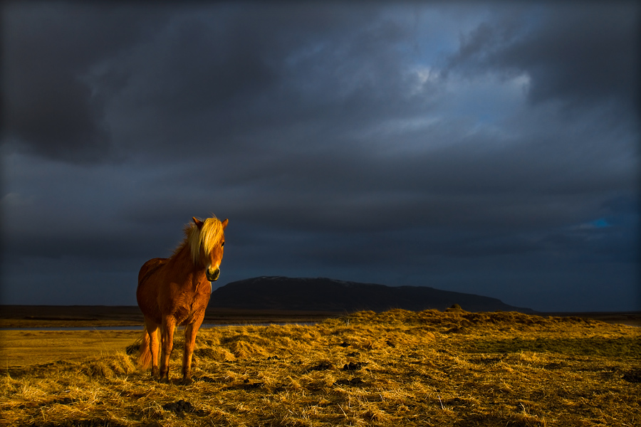islandia_42