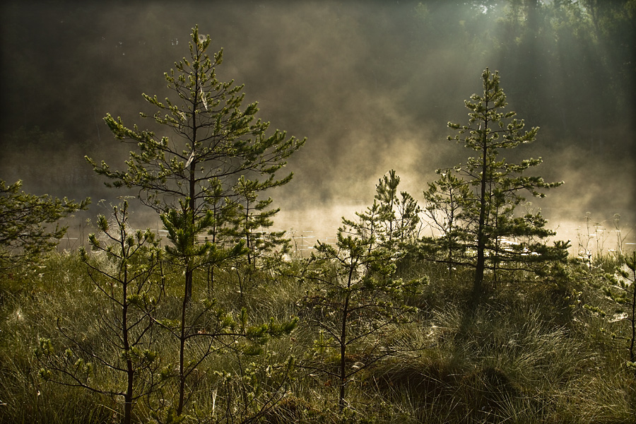 fotografia_przyrodnicza_3