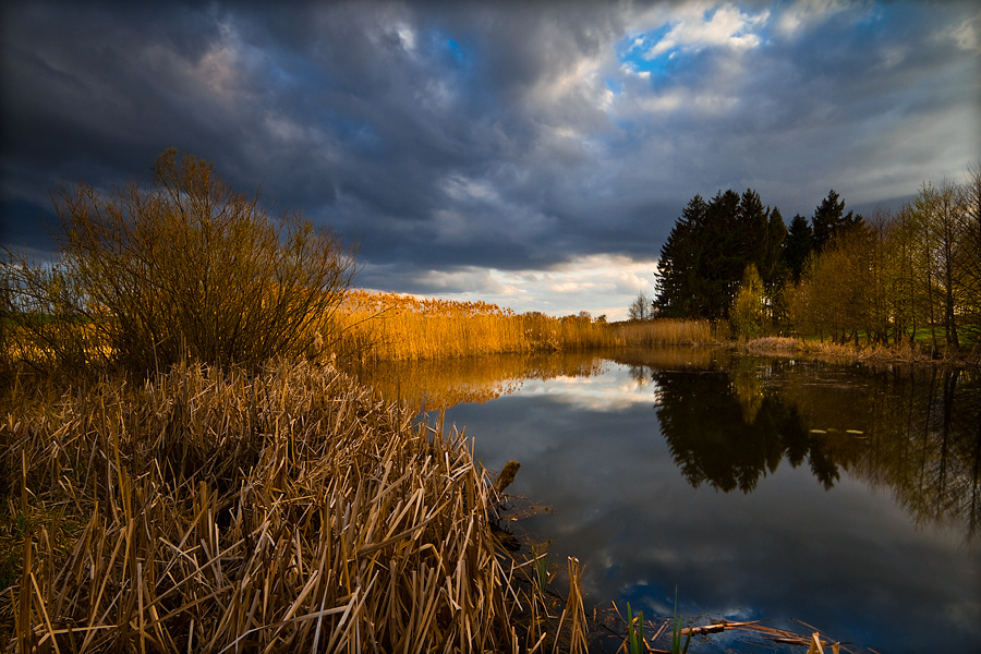 fotografia_przyrodnicza_6