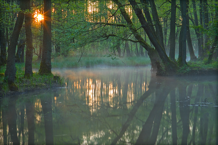fotografia_przyrodnicza_9