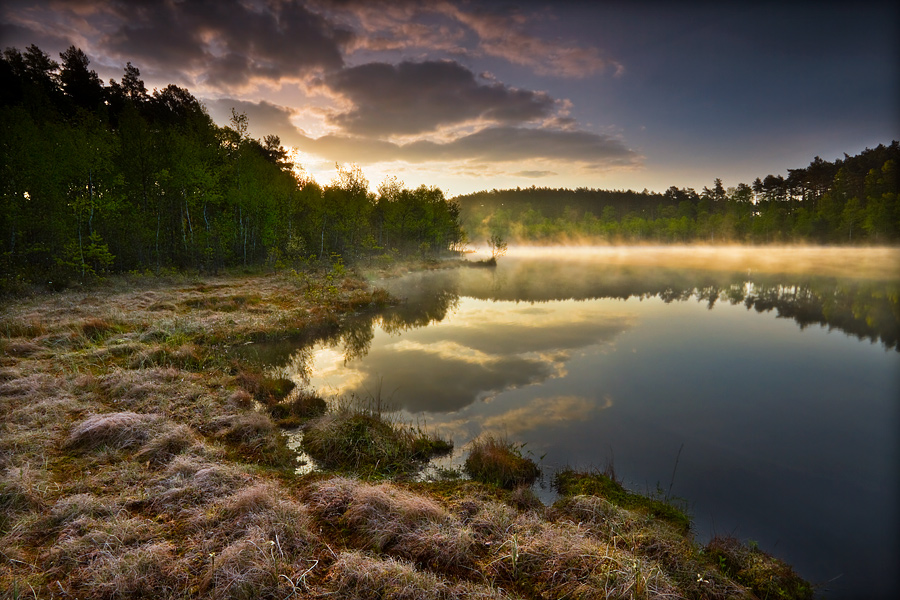 fotografia_przyrodnicza_10