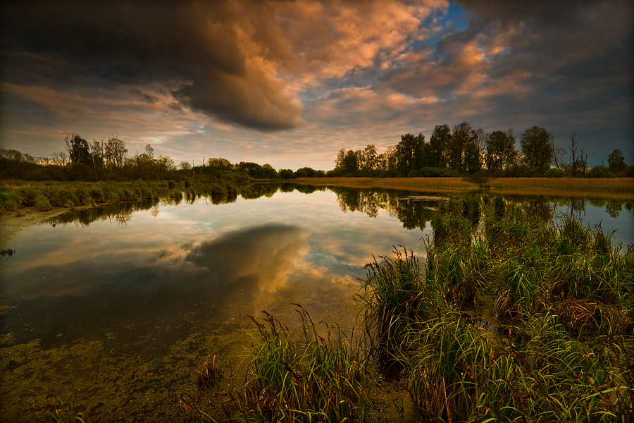 fotografia_przyrodnicza_11