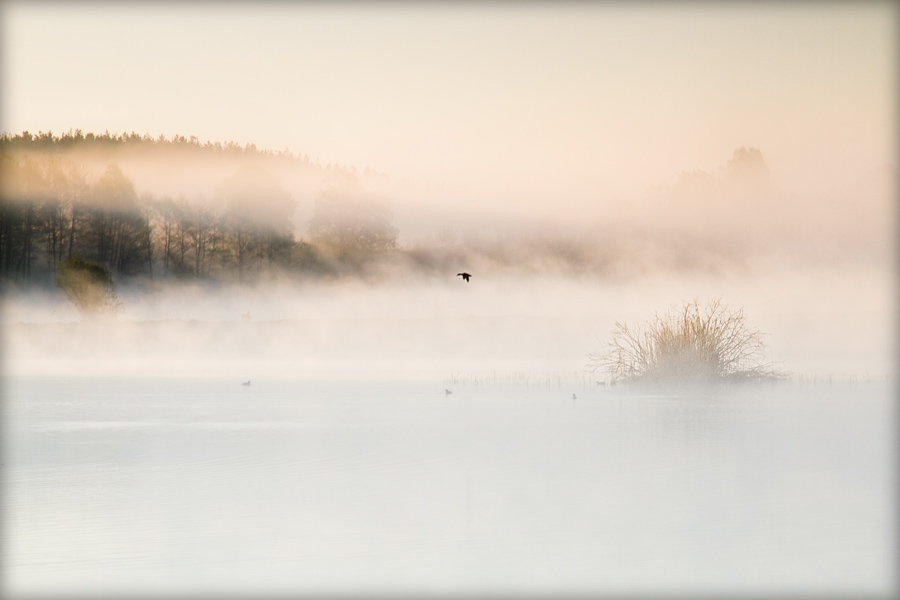 fotografia_przyrodnicza_14