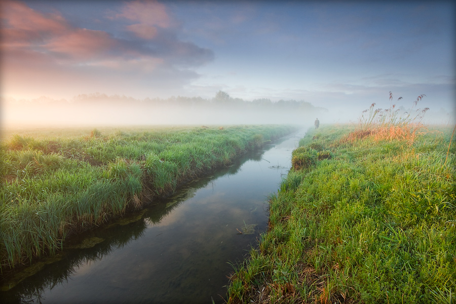 fotografia_przyrodnicza_15