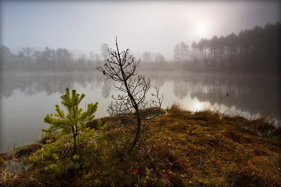 fotografia_przyrodnicza_17