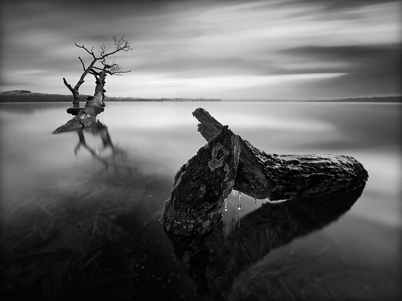 fotografia_czarno_biala_59