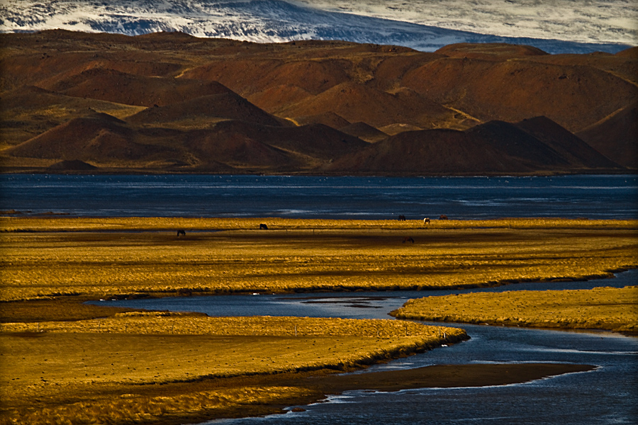 islandia_44