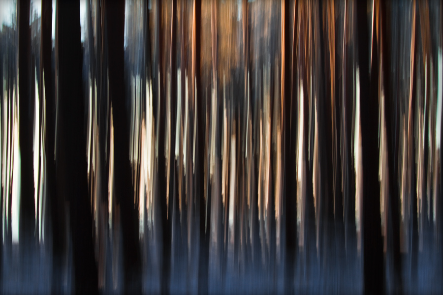 abstrakcje_21