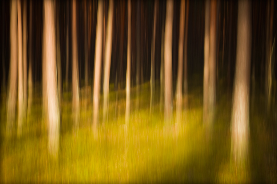 abstrakcje_29