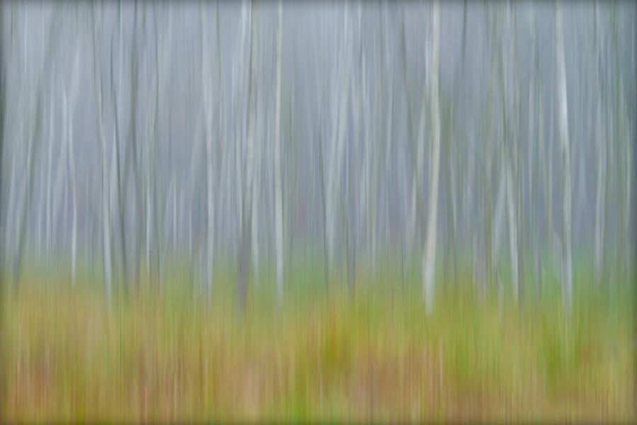 abstrakcje_34