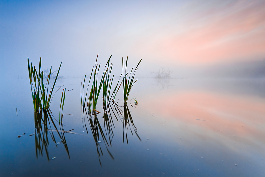 fotografia_przyrody_66