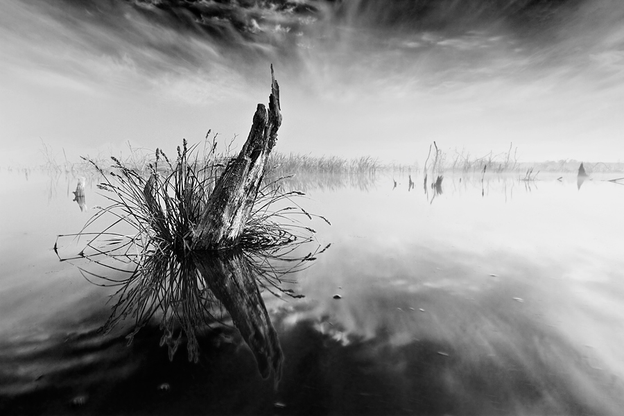 fotografia_czarno_biala_66