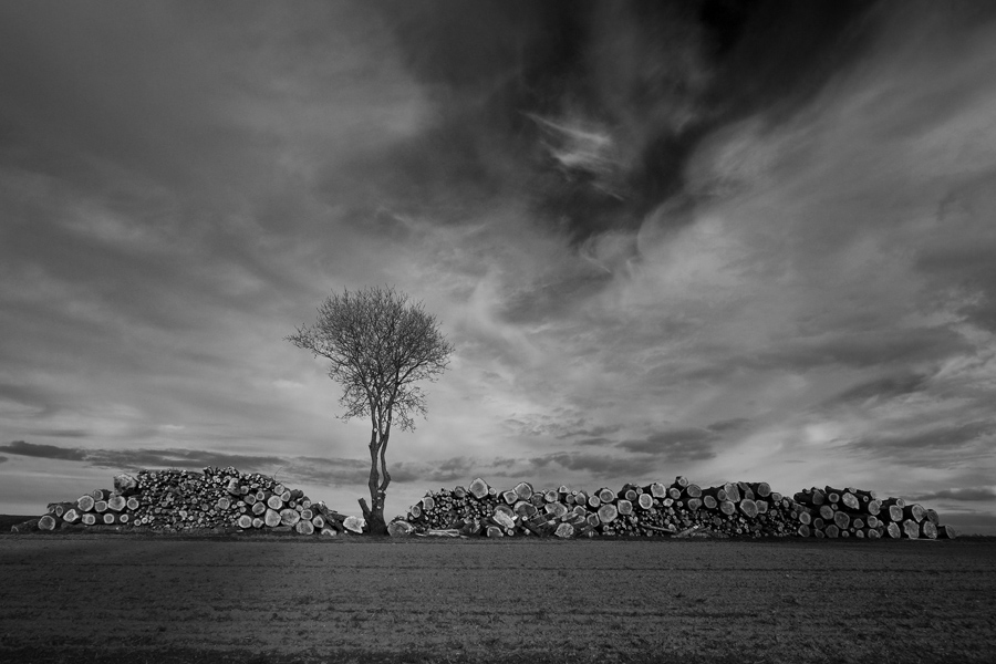 fotografia_czarno_biala_69