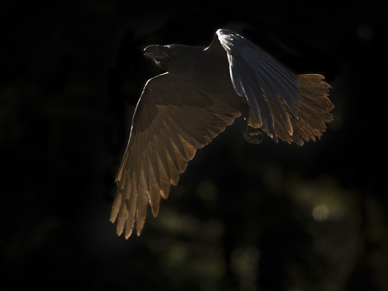 IMG_1430ok