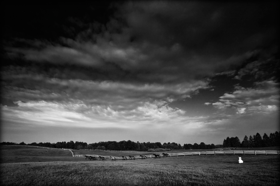 Fotografia artystyczna_6
