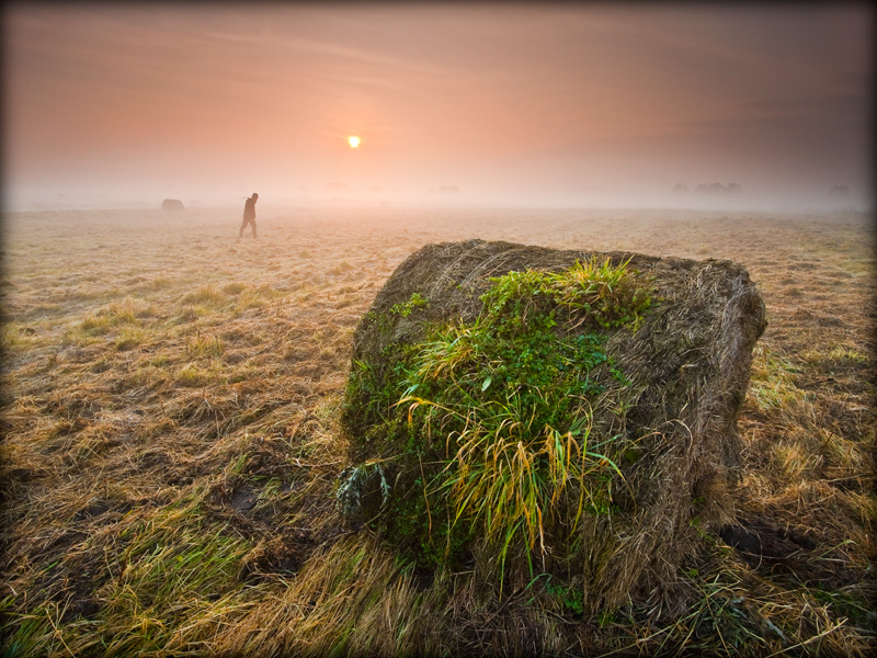 Fotografia artystyczna_6