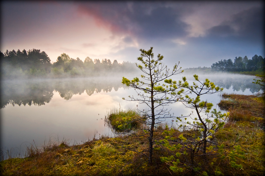 fotografia_przyrodnicza_4