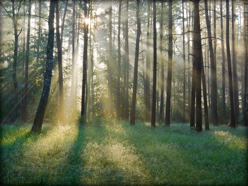fotografia_przyrodnicza_9