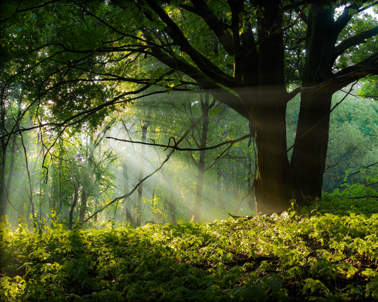 fotografia_przyrodnicza_7