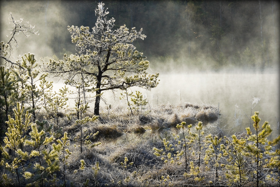 fotografia_przyrodnicza_2