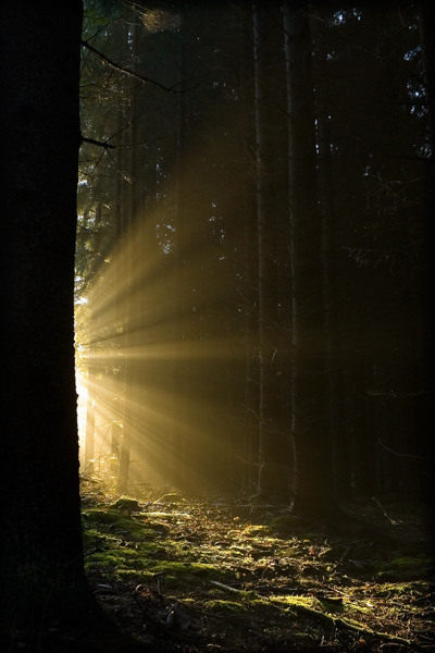 fotografia_przyrodnicza_3