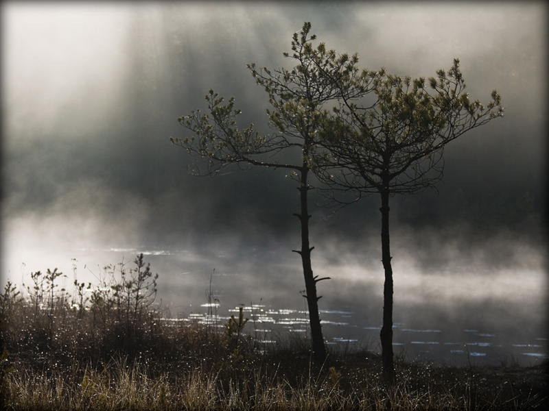 fotografia_przyrodnicza_5