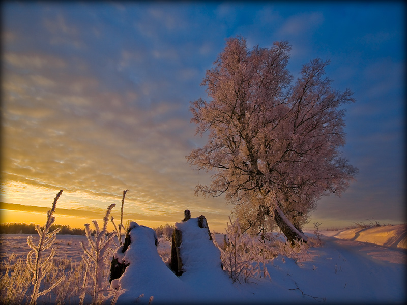 fotografia krajobrazowa_4