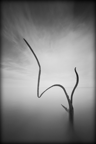 fotografia czarno biała_5