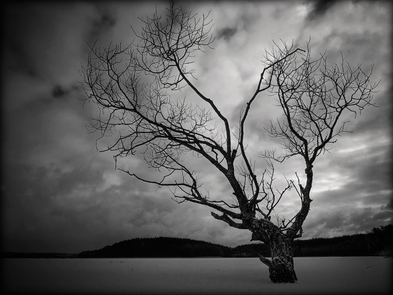 fotografia czarno biała_6