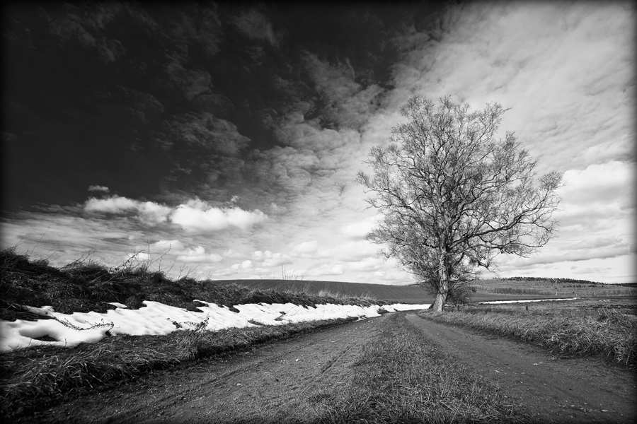 fotografia czarno biała_10